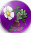 植物大战僵尸乐pad版hd(plants vs zombies)