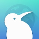 Kiwi Browser浏览器下载